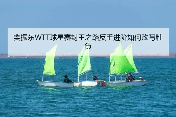 樊振东WTT球星赛封王之路反手进阶如何改写胜负